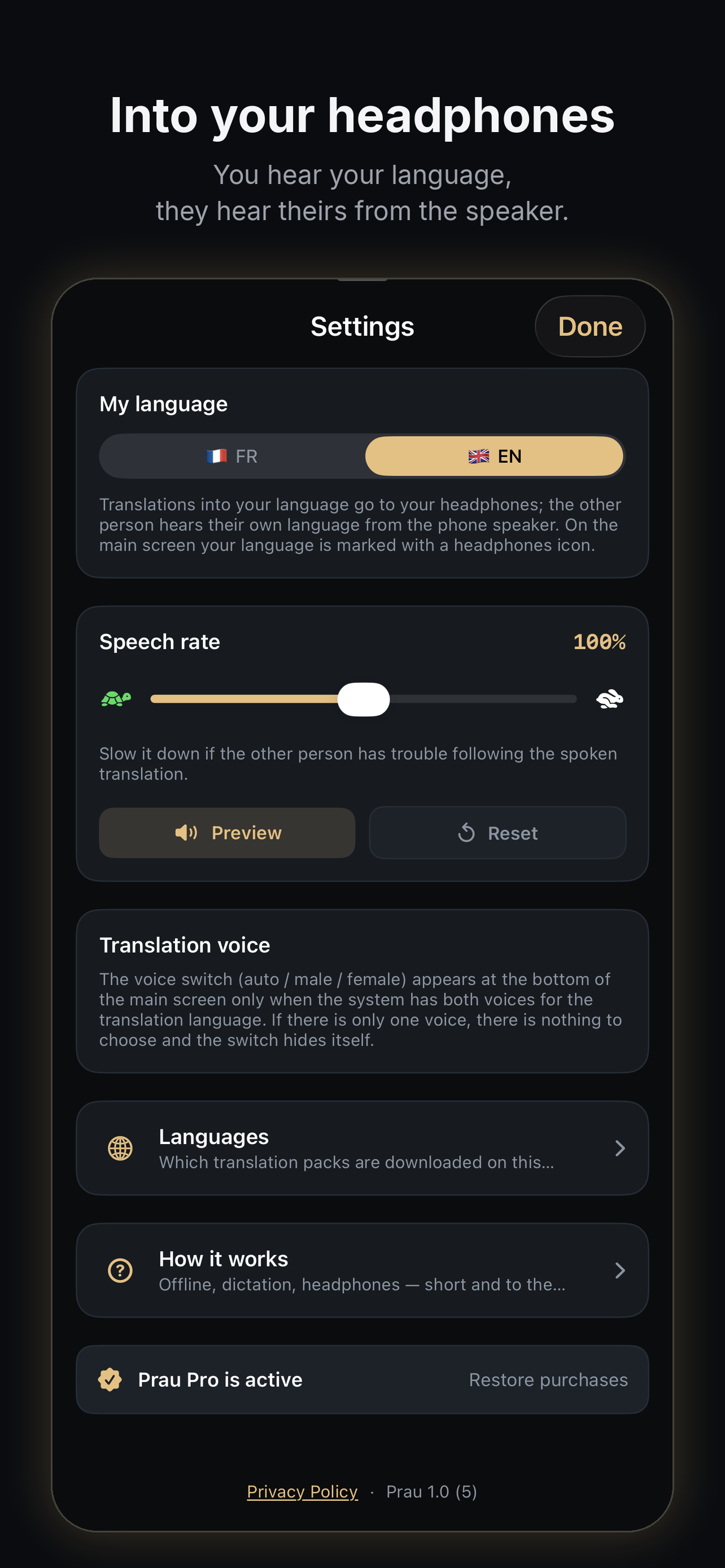 Prau: Offline Voice Translator screenshot 5