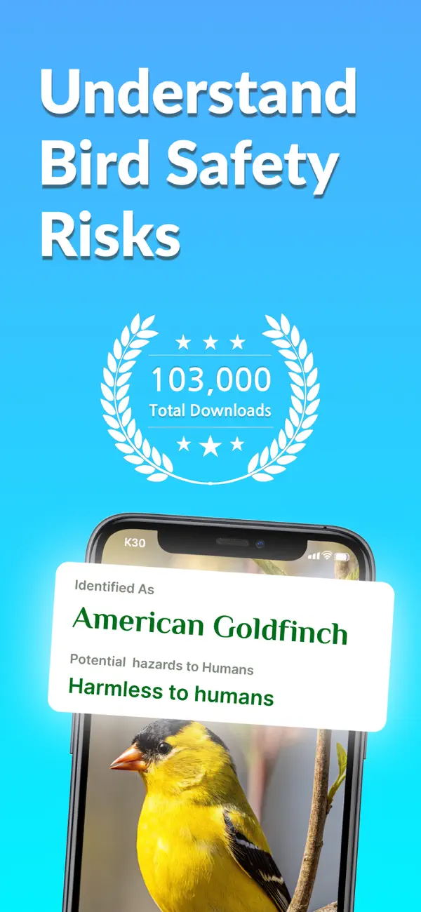 Screenshot #2 pour Bird Call Identification