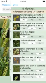 minnesota wildflowers info. iphone screenshot 3