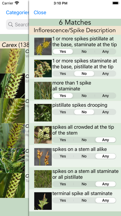 Minnesota Wildflowers Info. Screenshot