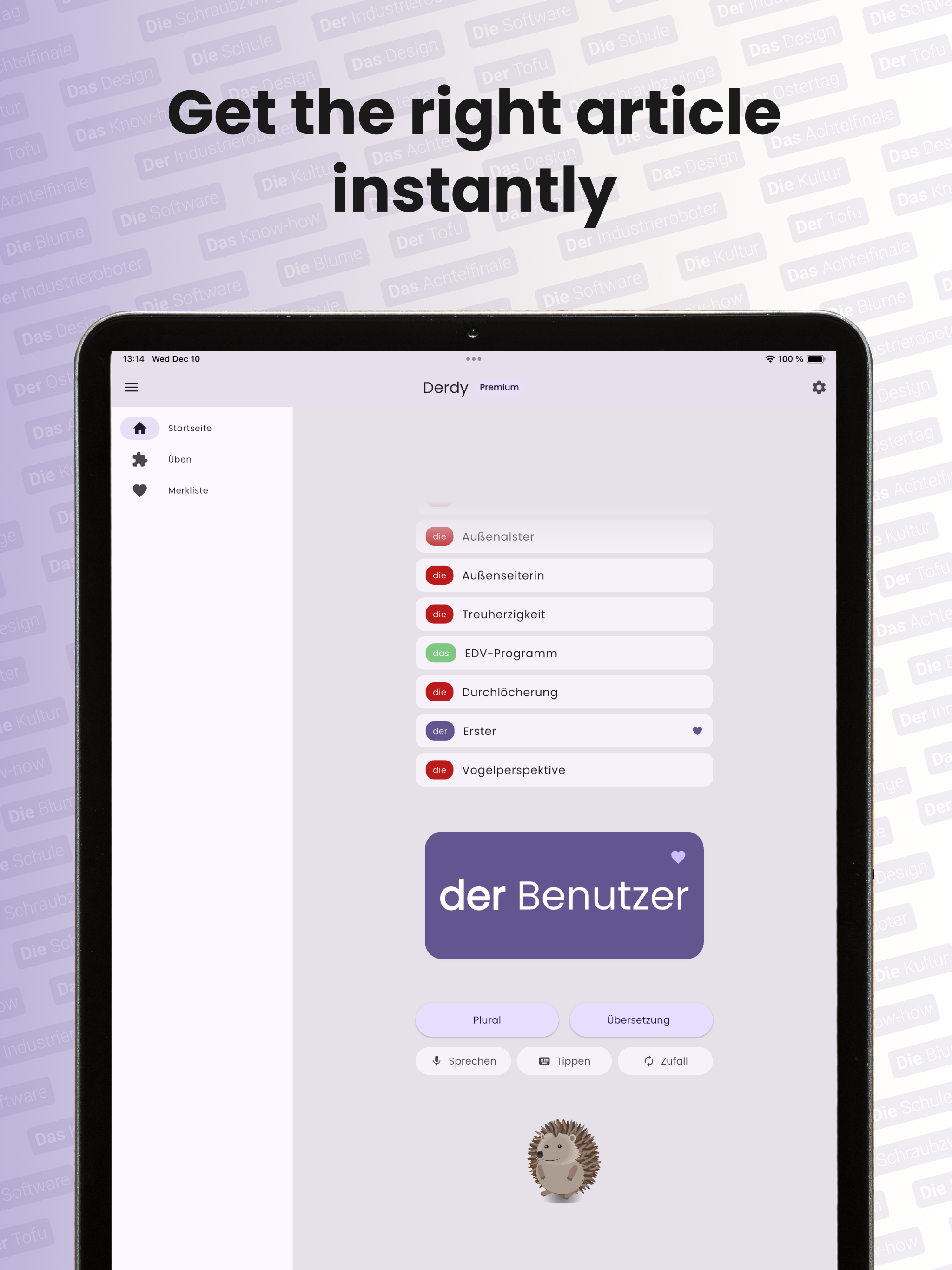 Derdy: Learn German articles screenshot 9