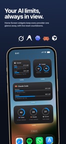 Limits: AI Usage Tracker screenshot