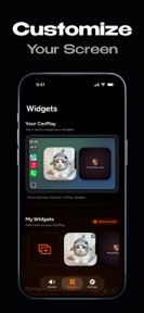 Carz: Car Widgets & Themes screenshot