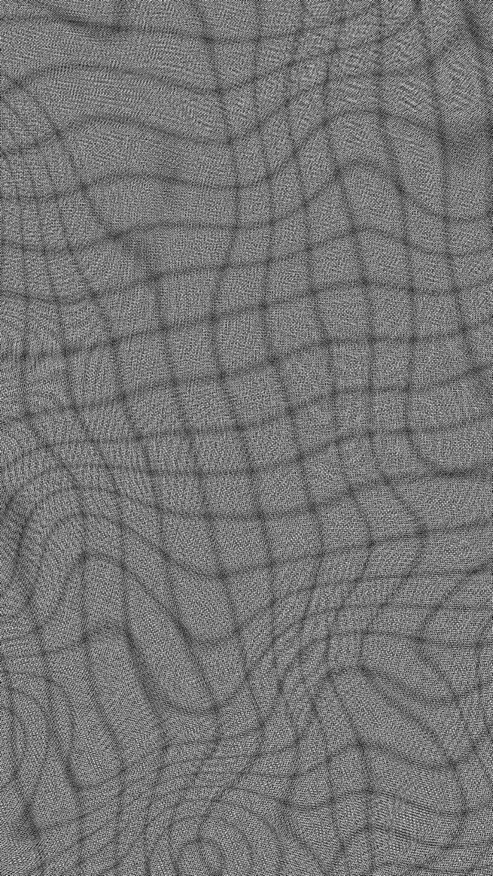 Moiré / Interference