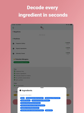 Pebbo: AI baby product scanner iPad screenshot