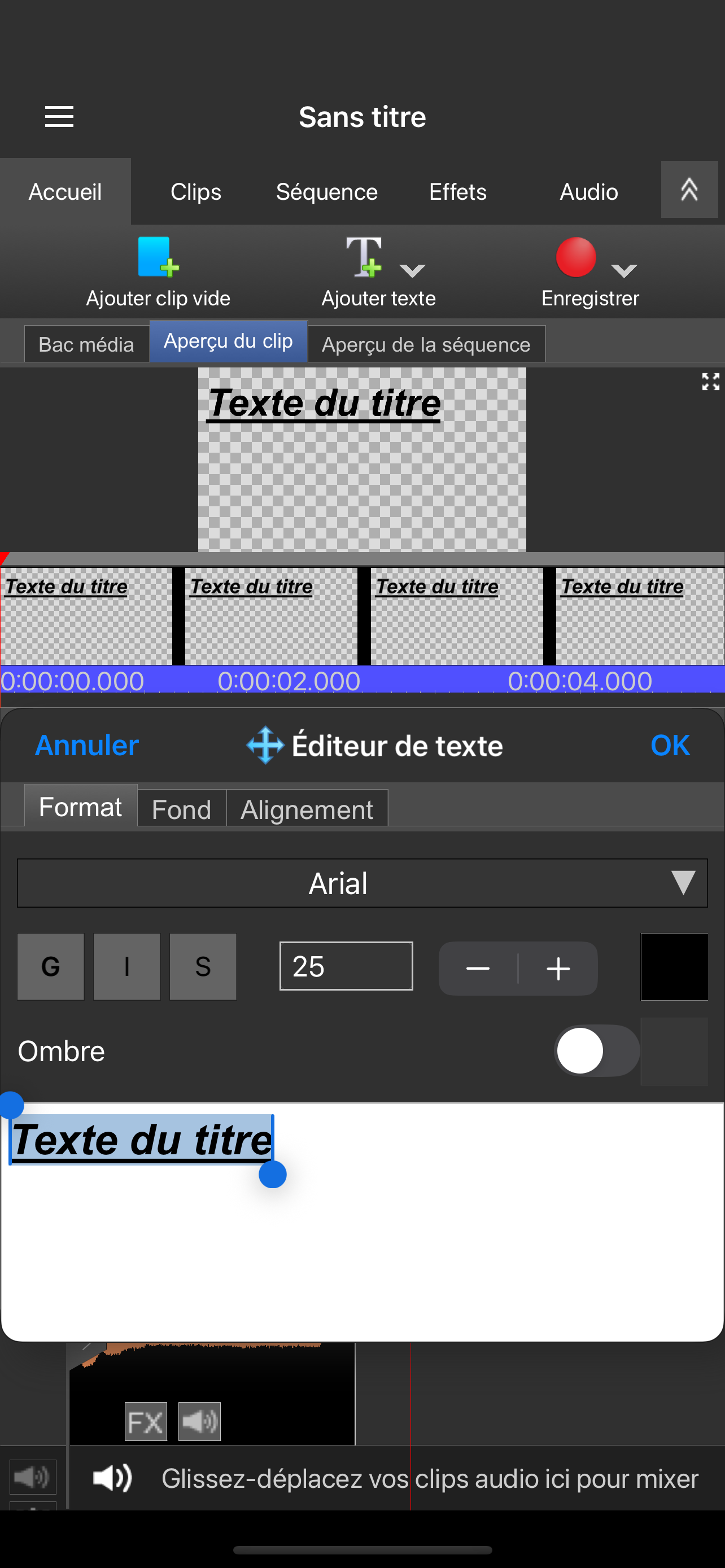 VideoPad-Professionnel screenshot 5