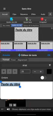 VideoPad-Professionnel screenshot 5