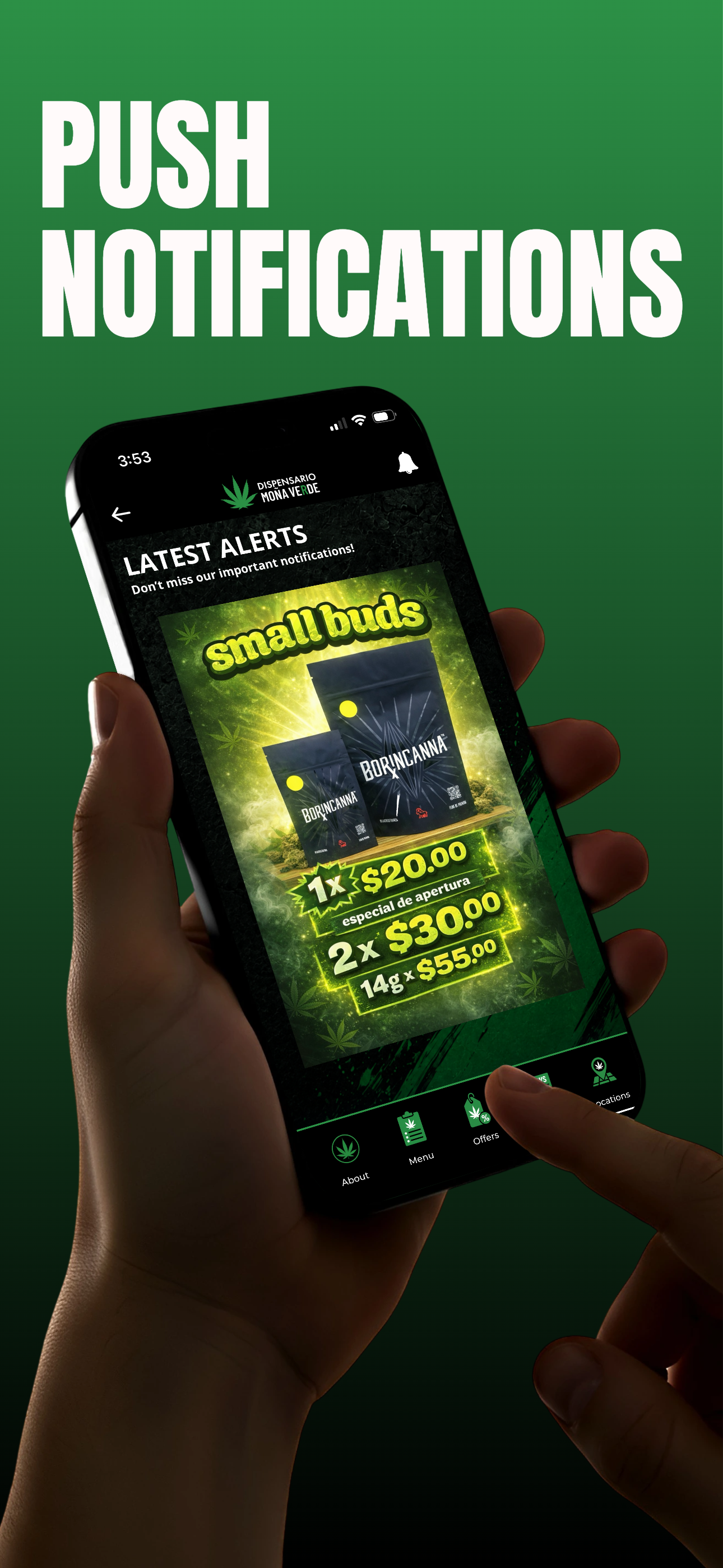 Moña Verde screenshot 4