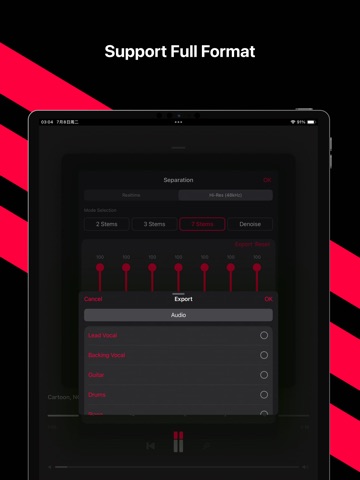 Clear - AI Audio Filter iPad screenshot