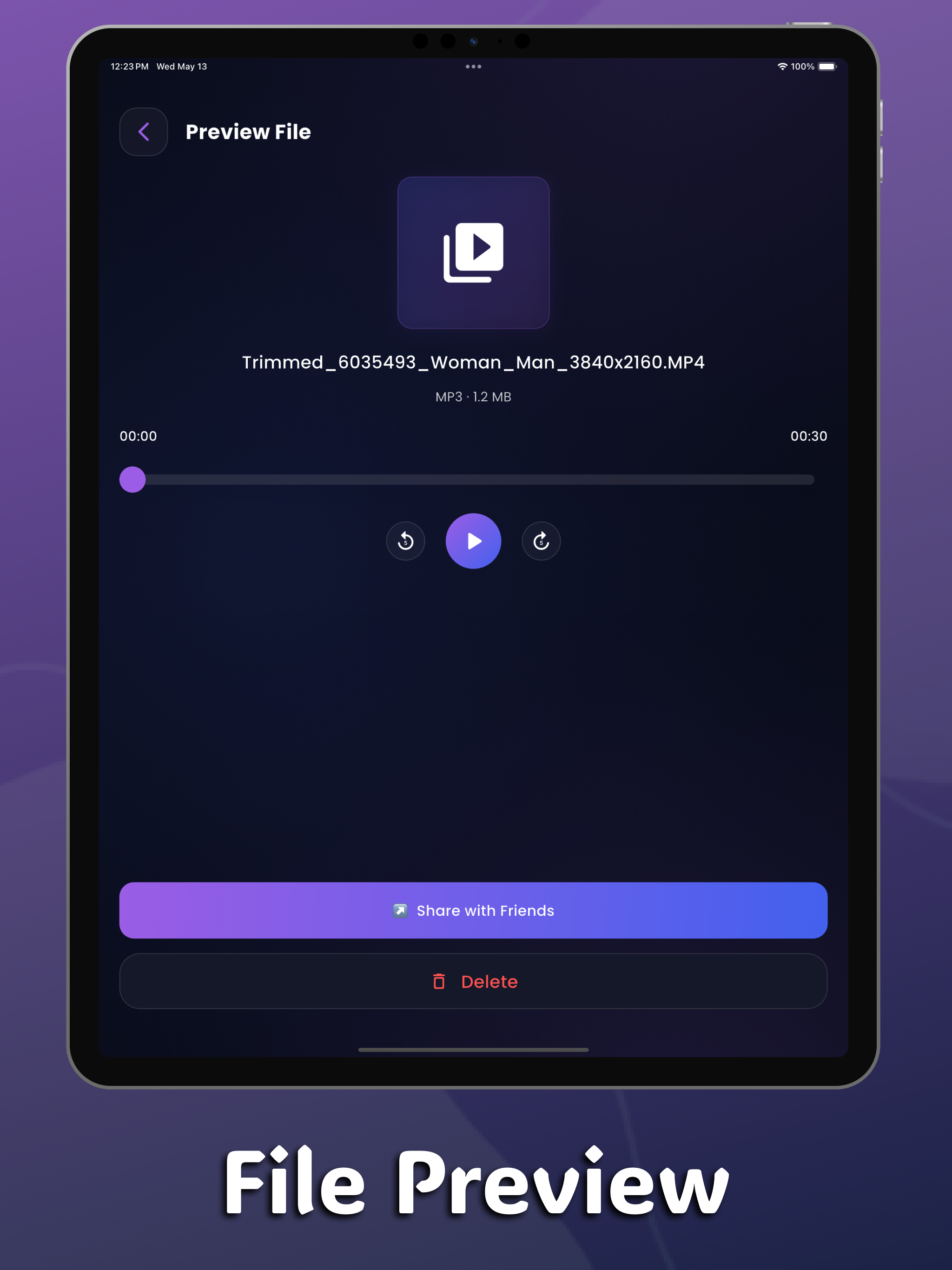 Audio Extractor AI