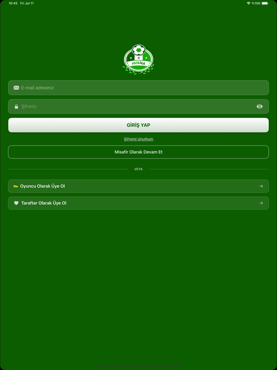 iPad screenshot