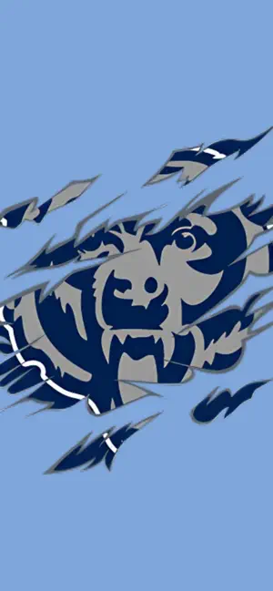 Plainview Bears screenshot 1