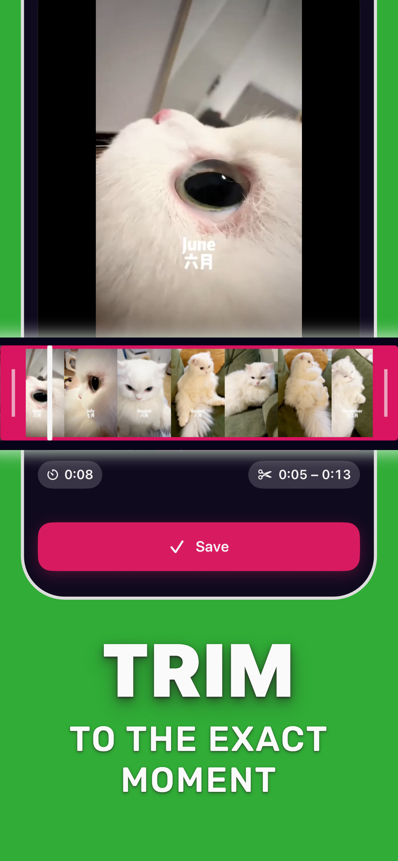 Make Video to GIF