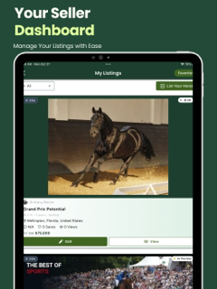 Femme Cheval screenshot 15