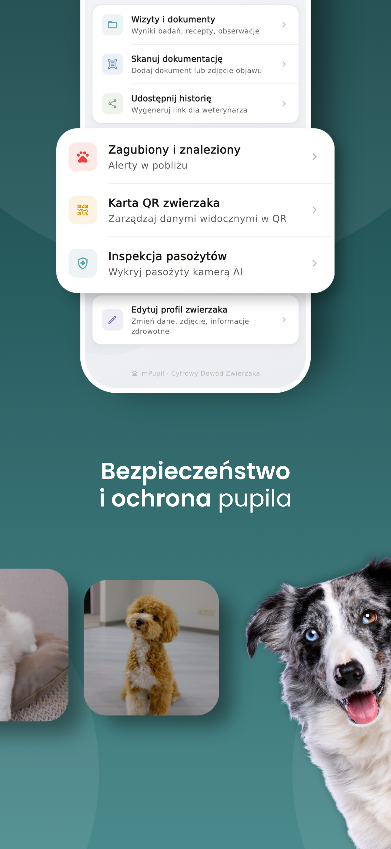 mPupil.pl screenshot 3