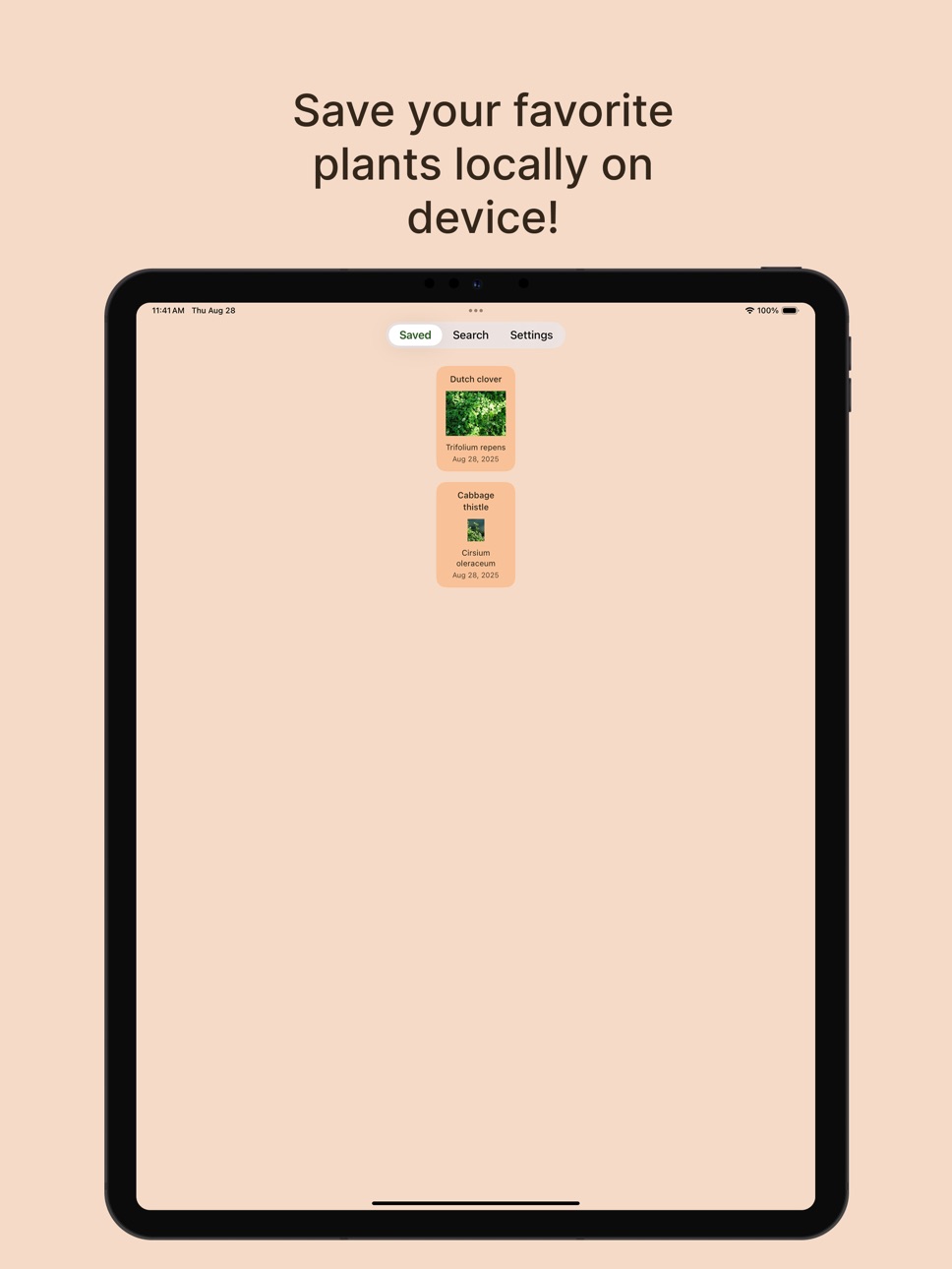 iPad screenshot