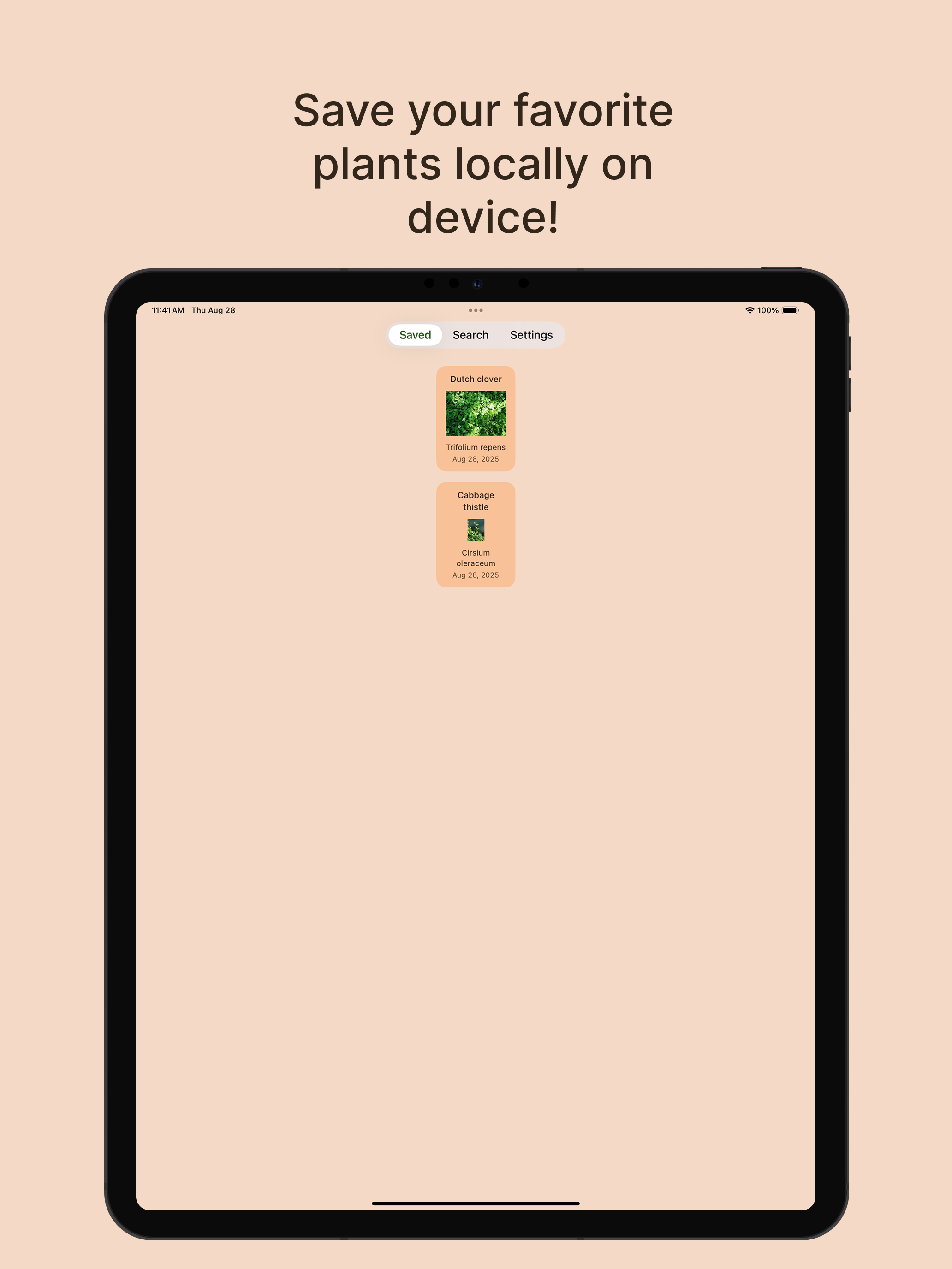 Sprout - Plant Encyclopedia