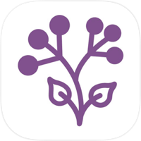 TILA: Sueño,Meditación y Calma