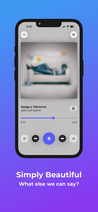 Amuse: Music Player Screenshot 5 of 5