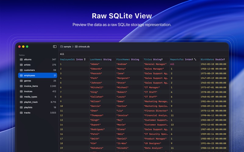 DataScout for SwiftData screenshot