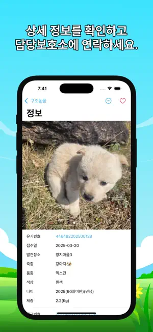 캣도그 - 유기동물 입양 & 실종동물 찾기 & 구조동물 screenshot 3