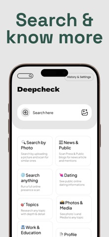 Deepcheck AI Search Agent screenshot