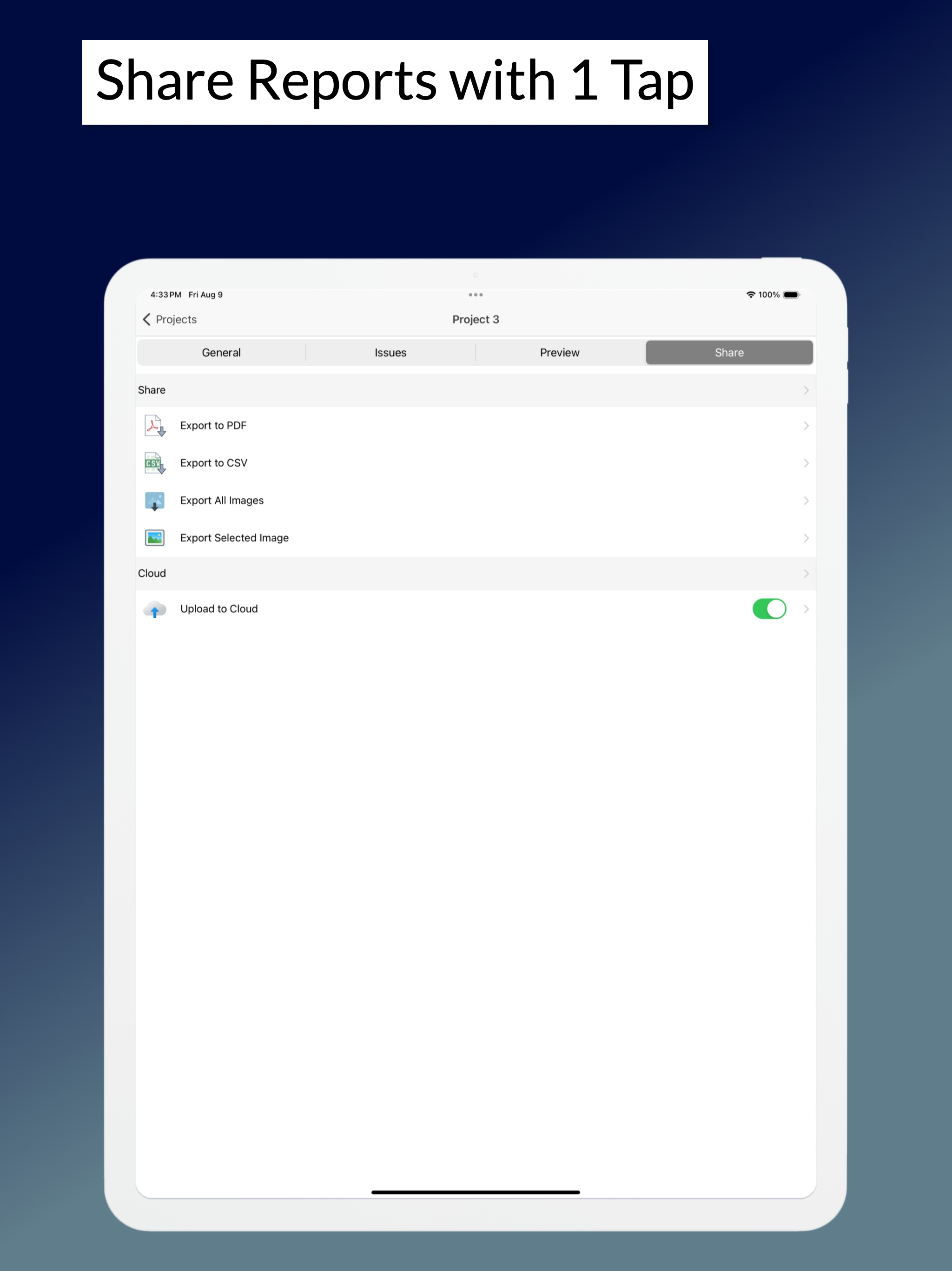 Site Audit - Punch, Snag Lists