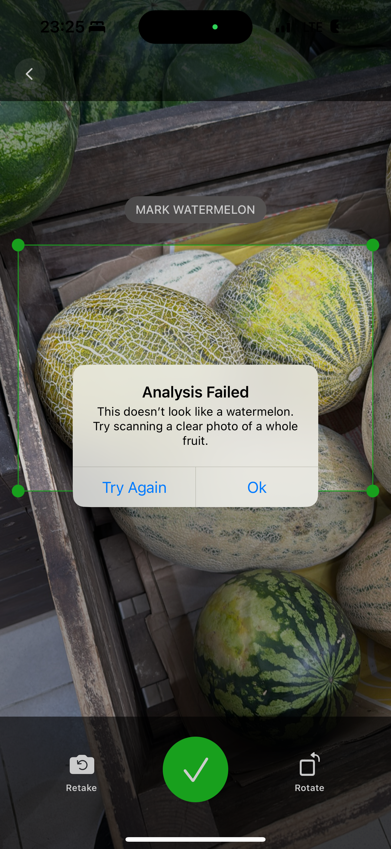 RipeMelon: Watermelon Analyzer