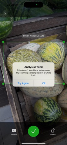 RipeMelon: Watermelon Analyzer screenshot