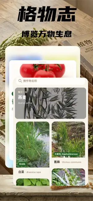 识五谷 screenshot 4