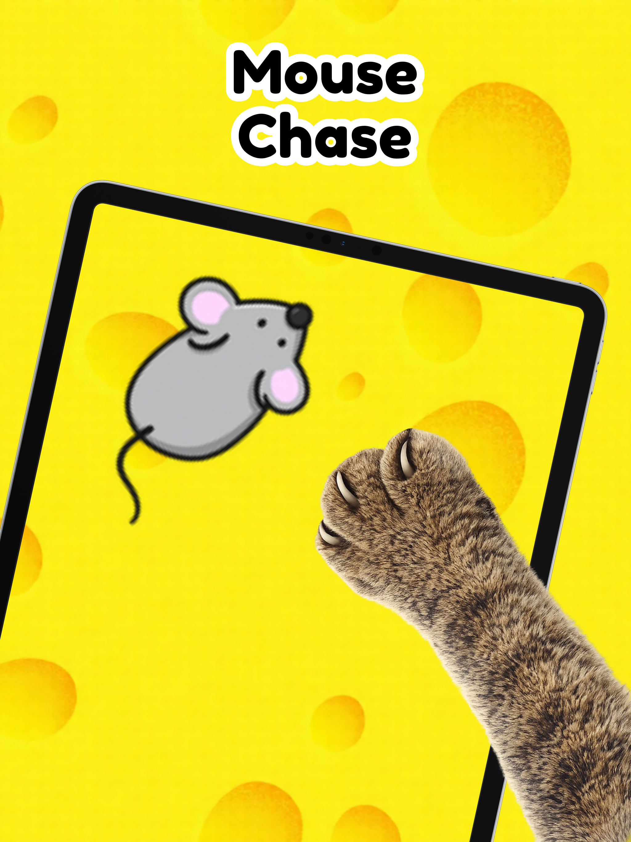 Cat Games for Cats