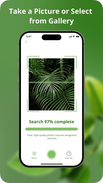 Plant Disease Identification Screenshot