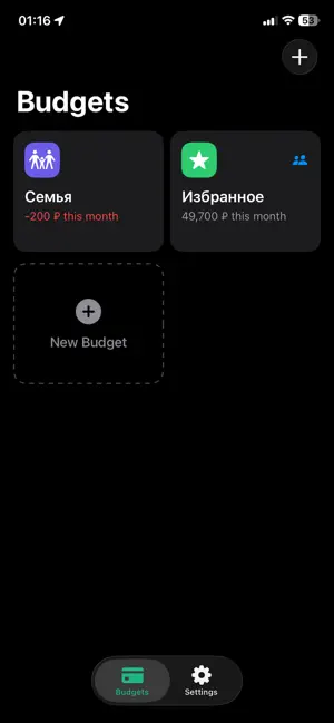 iShareBudget screenshot 2