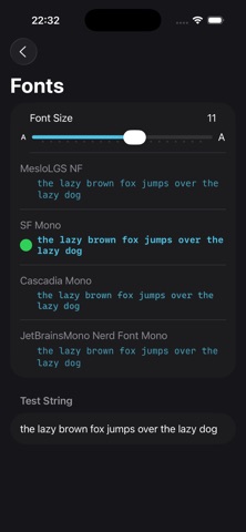 ShhShell screenshot