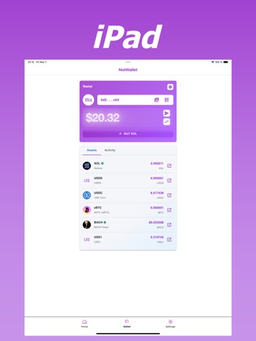 NotWallet: Solana Self-Custody iPad screenshot