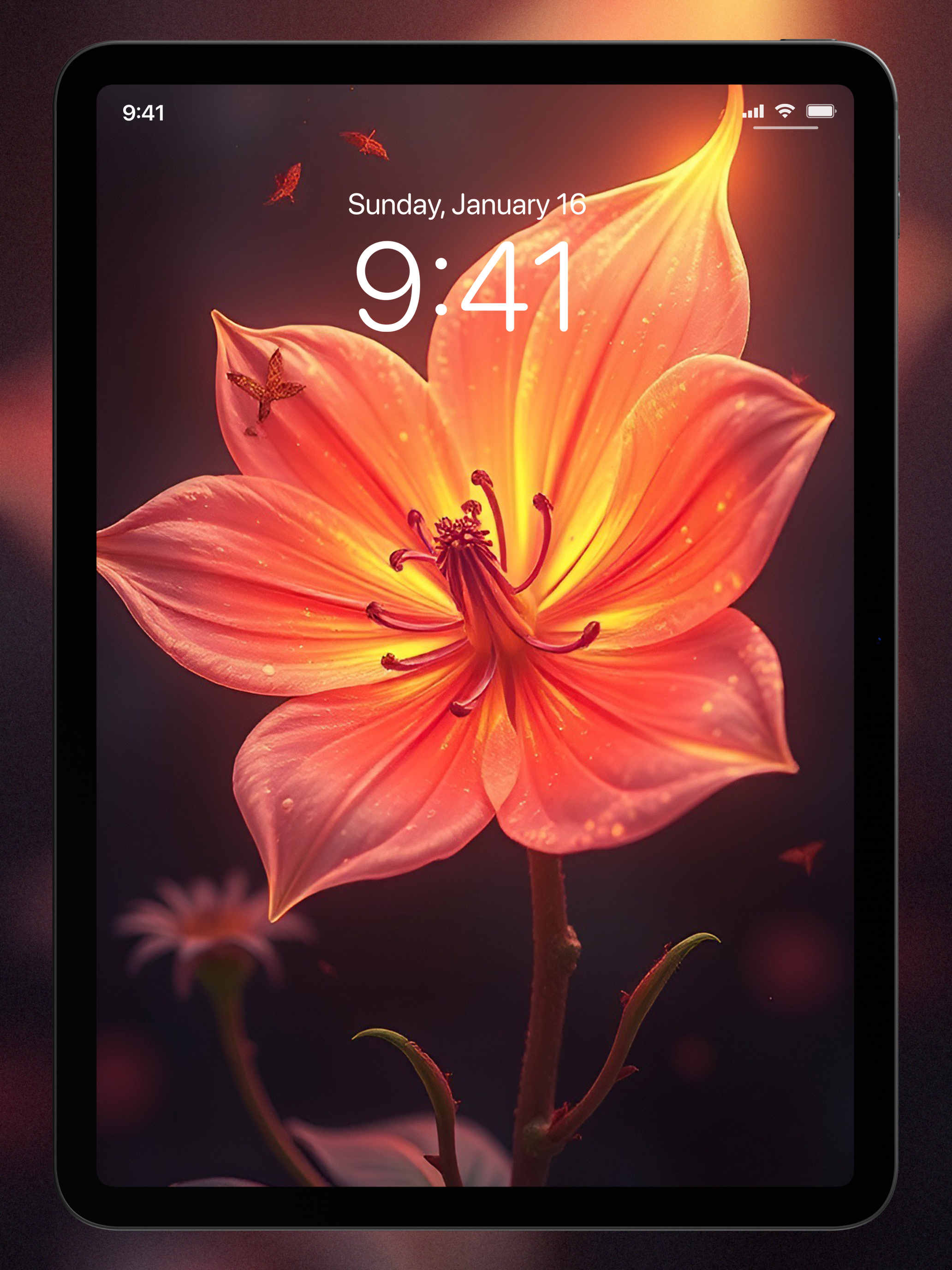 WallPics - Wallpapers, live