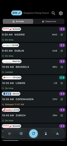 Flights Singapore Screenshot 1 of 5