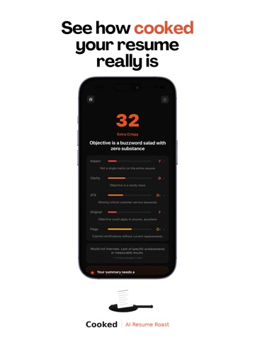 Cooked: AI Resume Roast iPad screenshot