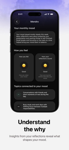 Mendro: AI Reflection Journal Screenshot 7 of 9