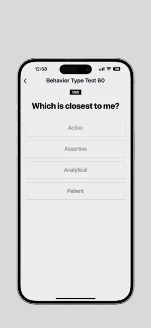 DISC Personality Profile screenshot 2