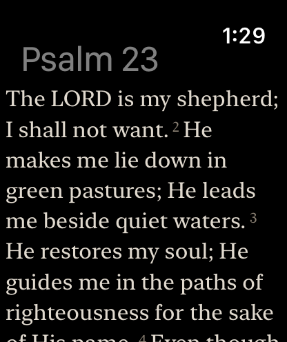 Berean Standard screenshot 14