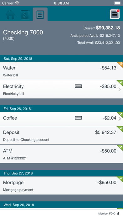 Chemung Canal Capital Business Screenshot