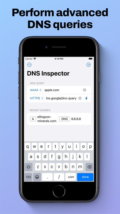 Screenshot #1 pour DNS Inspector