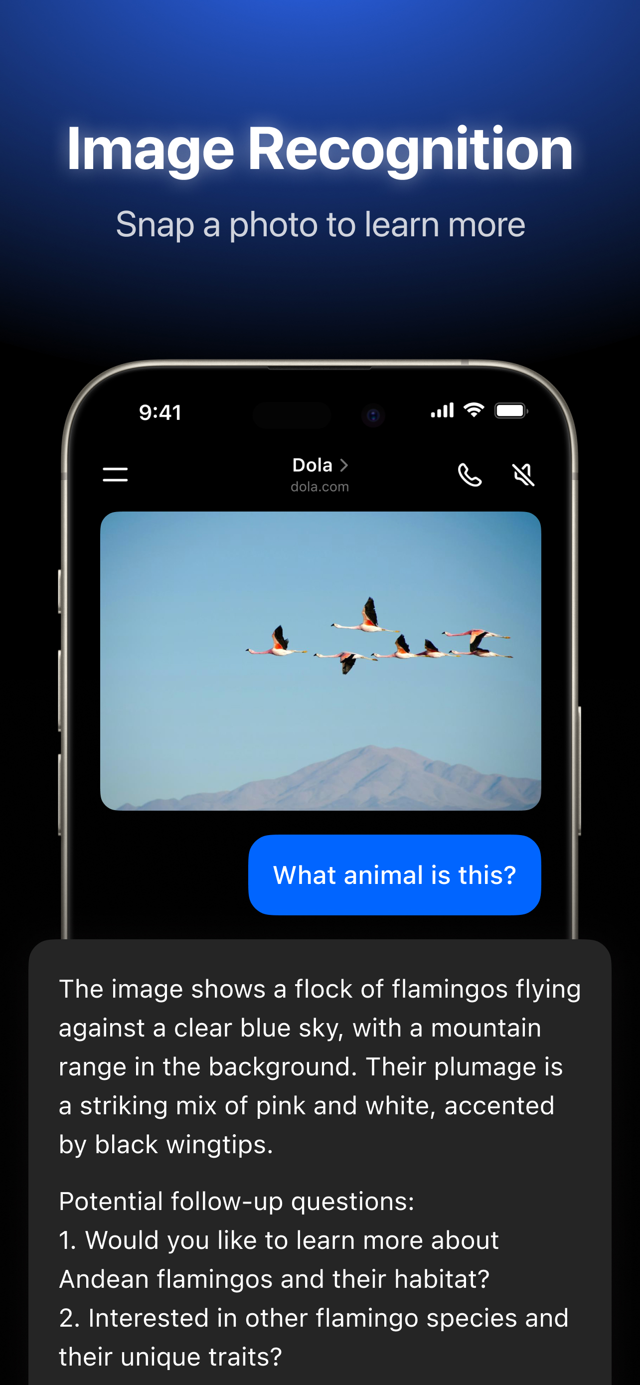 Dola: Smart AI Assistant store screenshot 5
