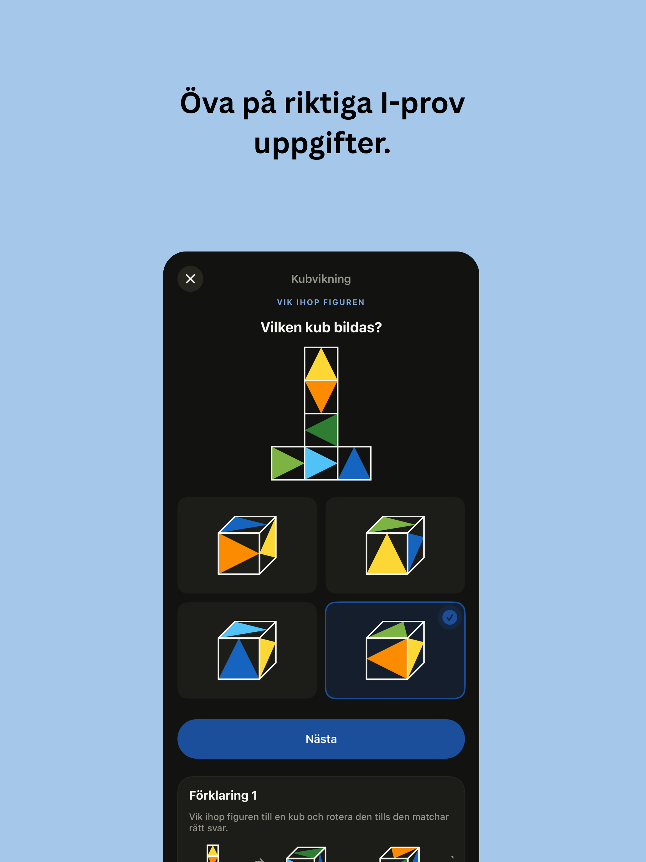 Polis- och tullappen screenshot 12