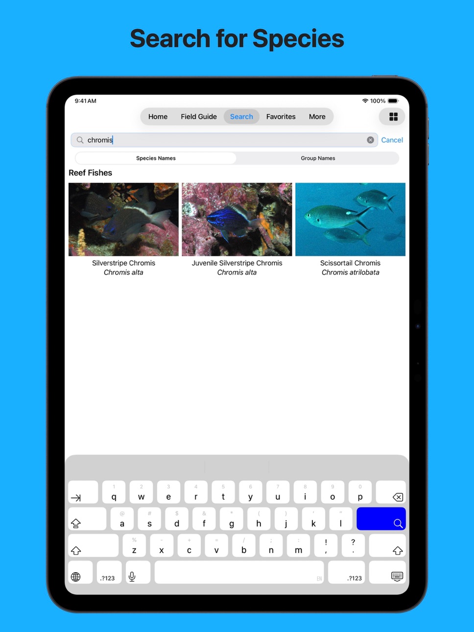 iPad screenshot