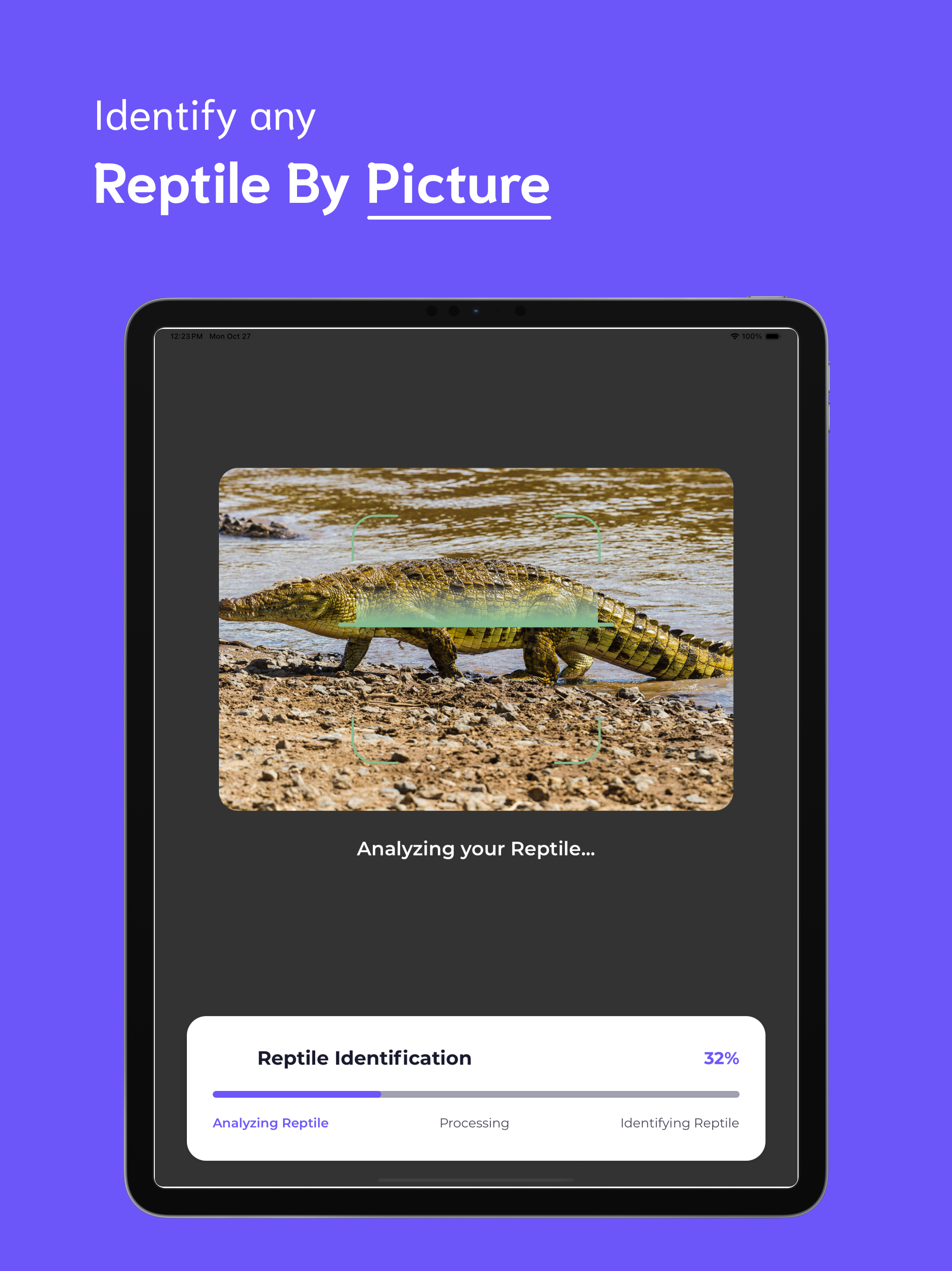 Reptile Identifier - RI