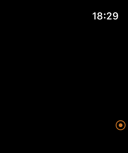 SilentMIC Pro