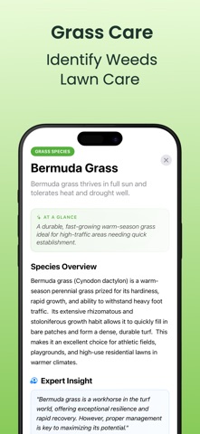 Grass Identifier - Lawn Care screenshot