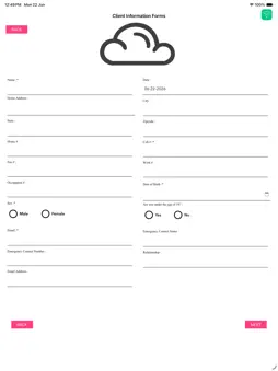 Salon Clouds Intake screenshot 4